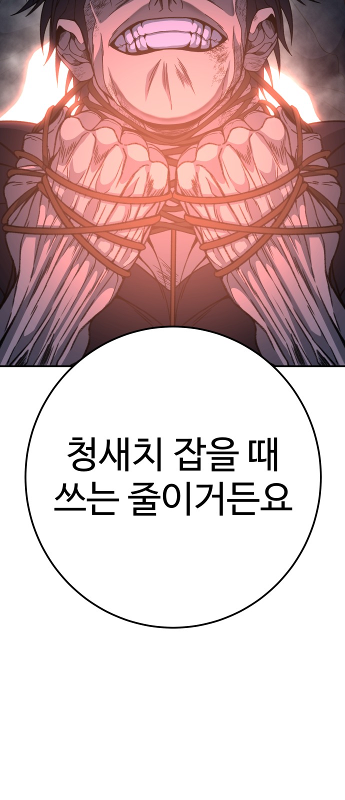74 페이지