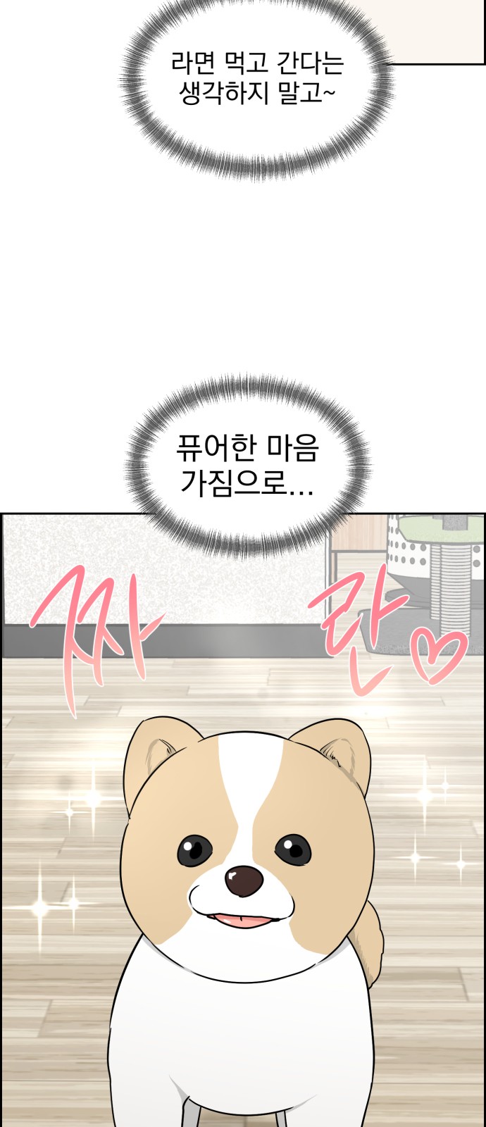 43 페이지