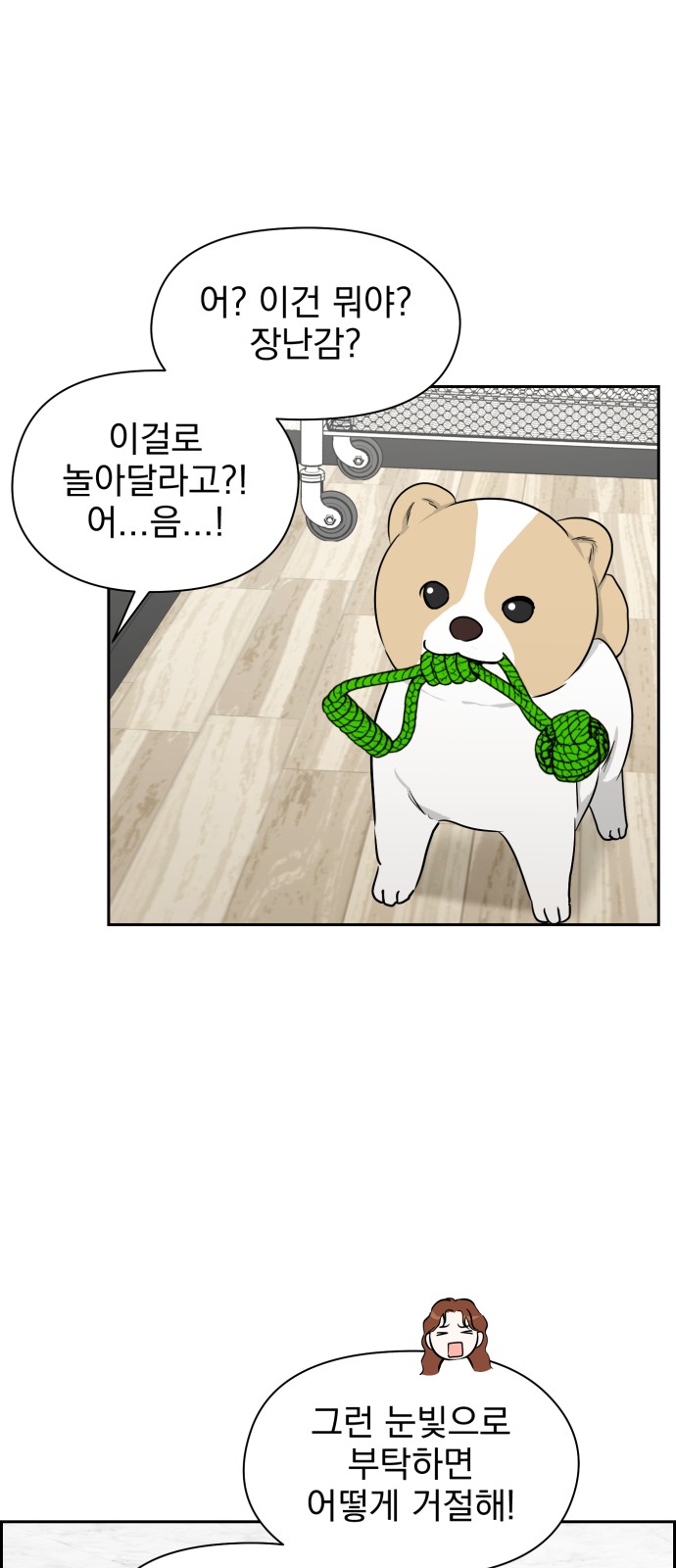 47 페이지