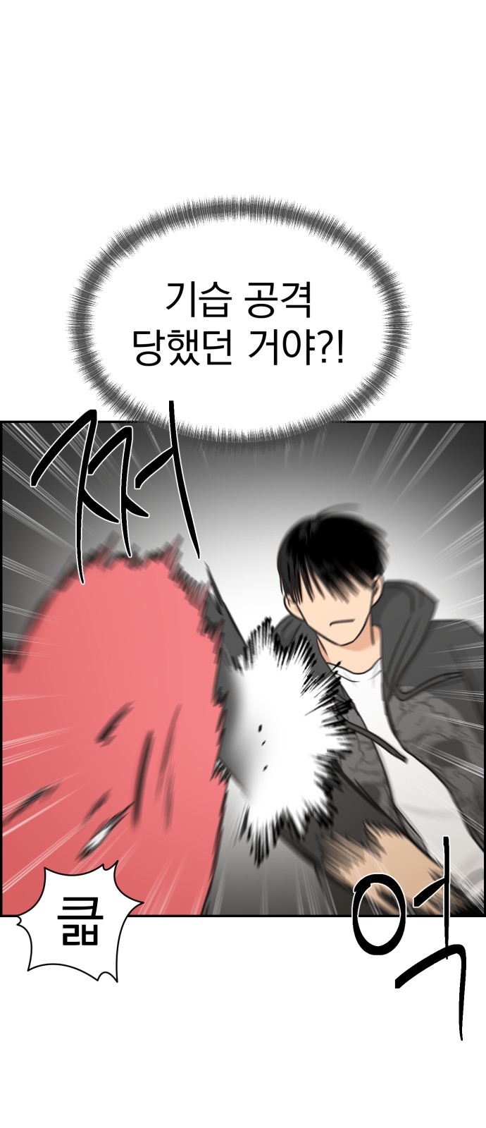 66 페이지