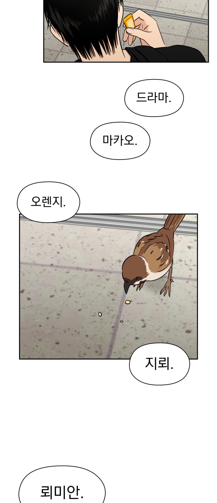 19 페이지