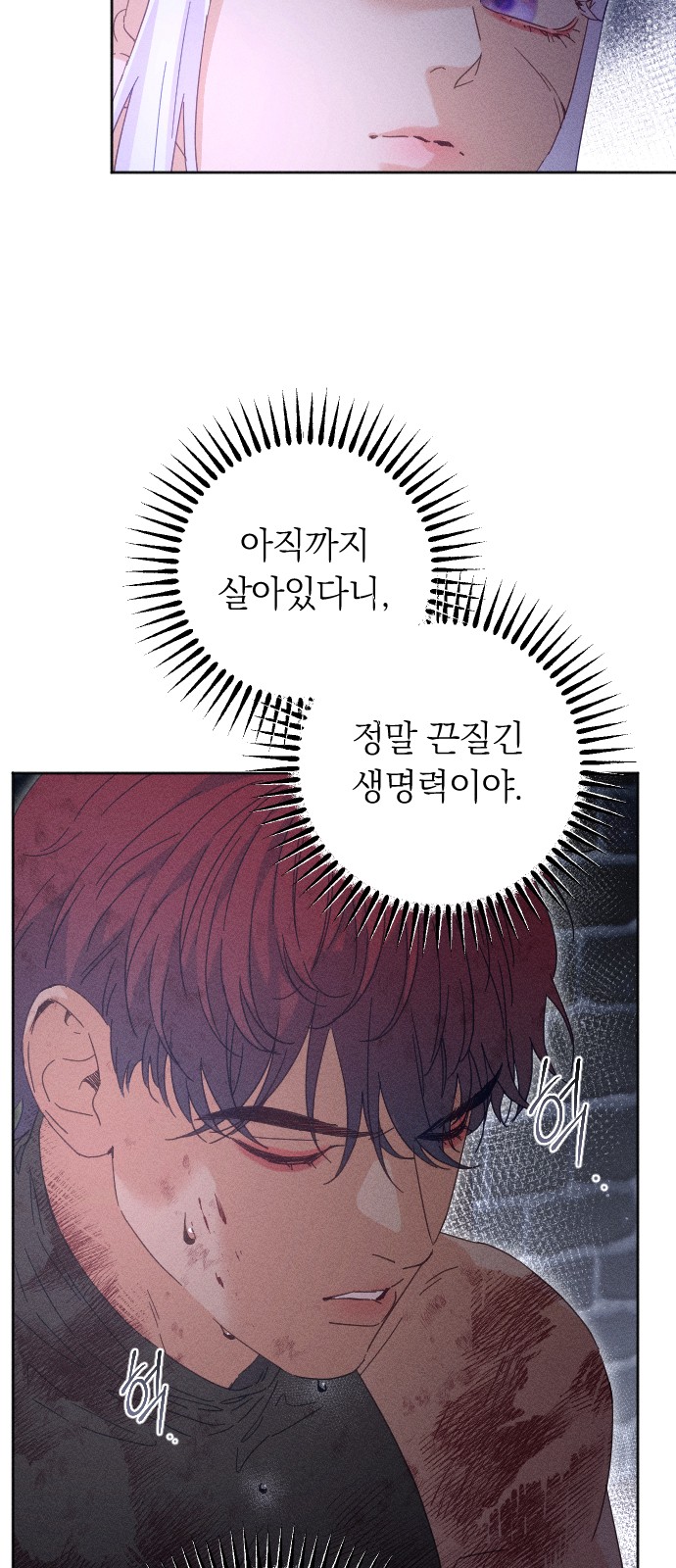 31 페이지