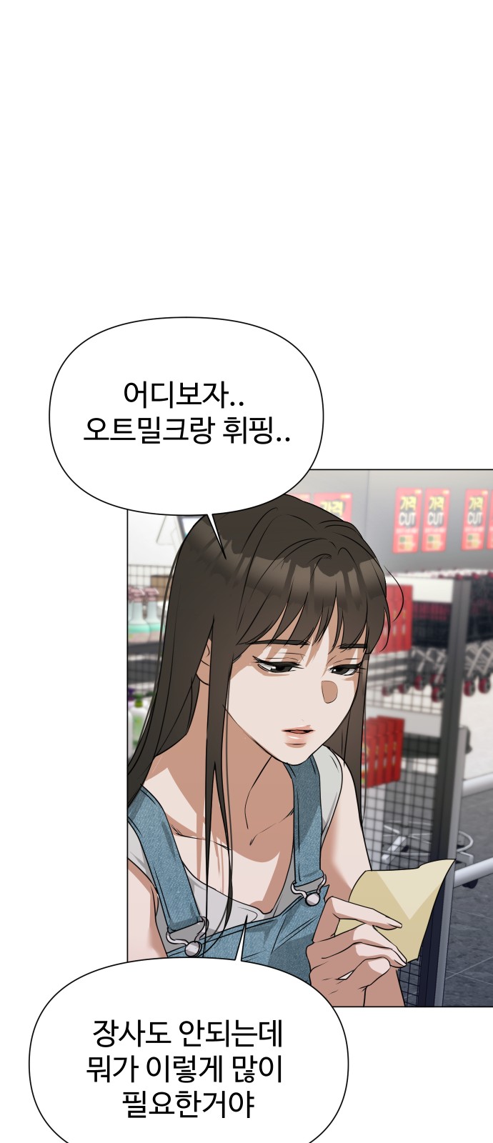 13 페이지