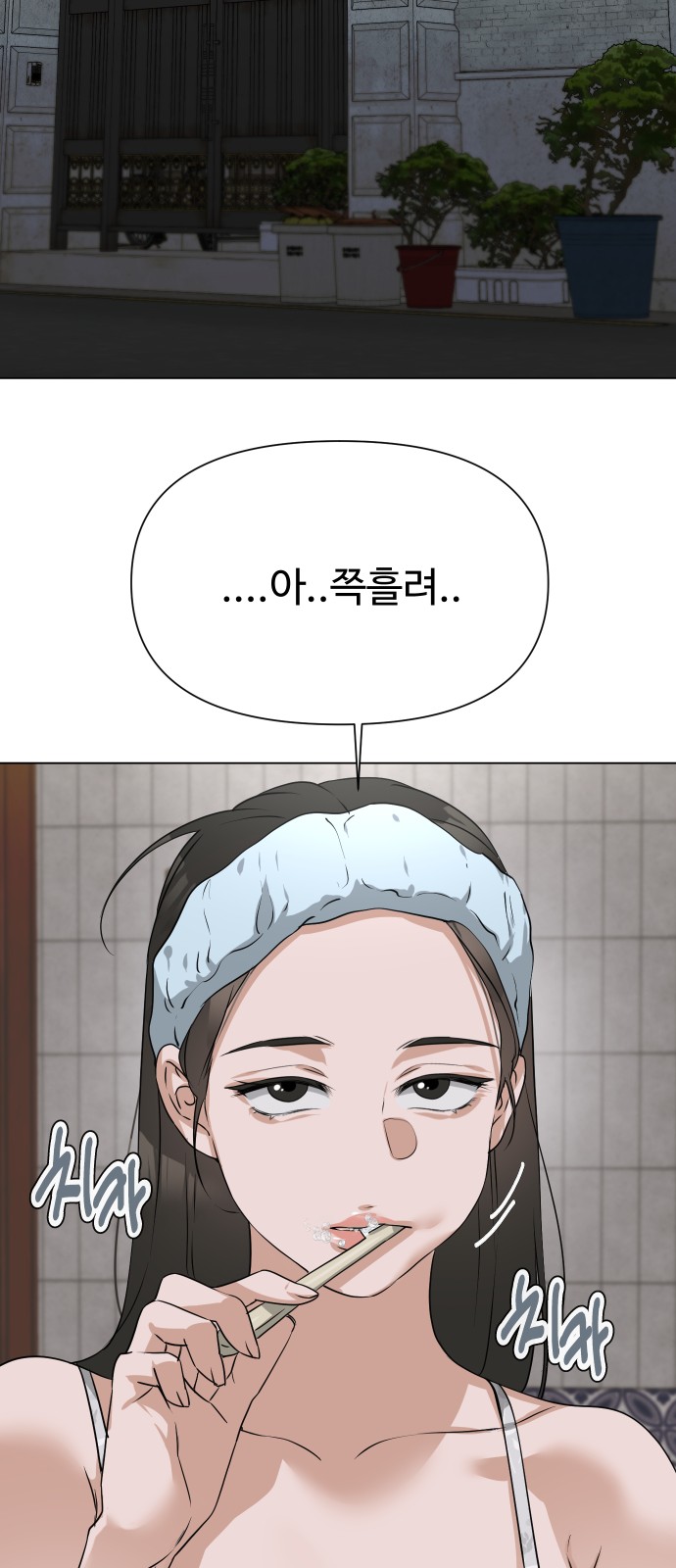 66 페이지