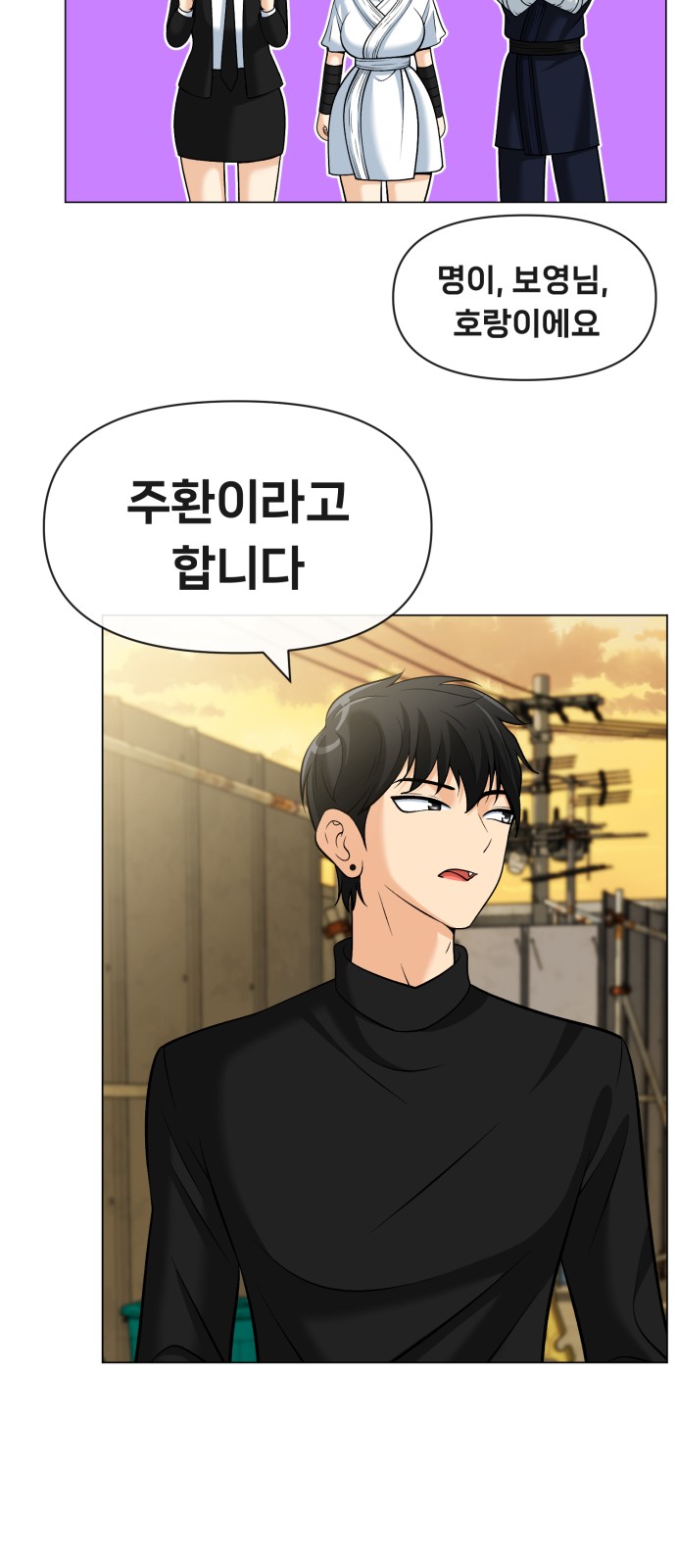 54 페이지
