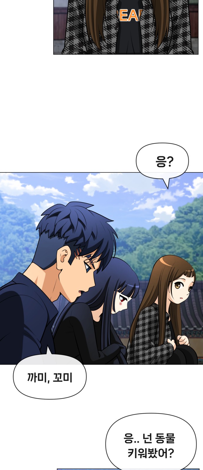 13 페이지