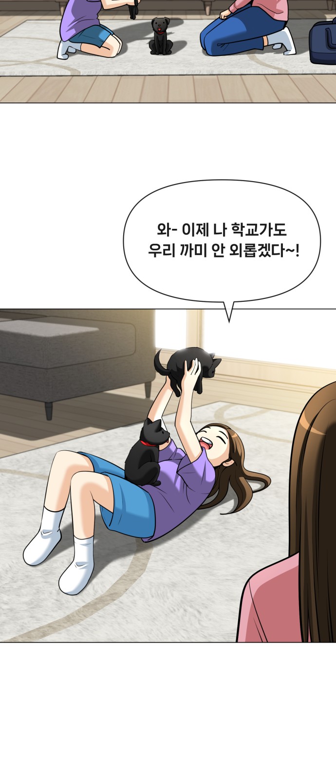 41 페이지