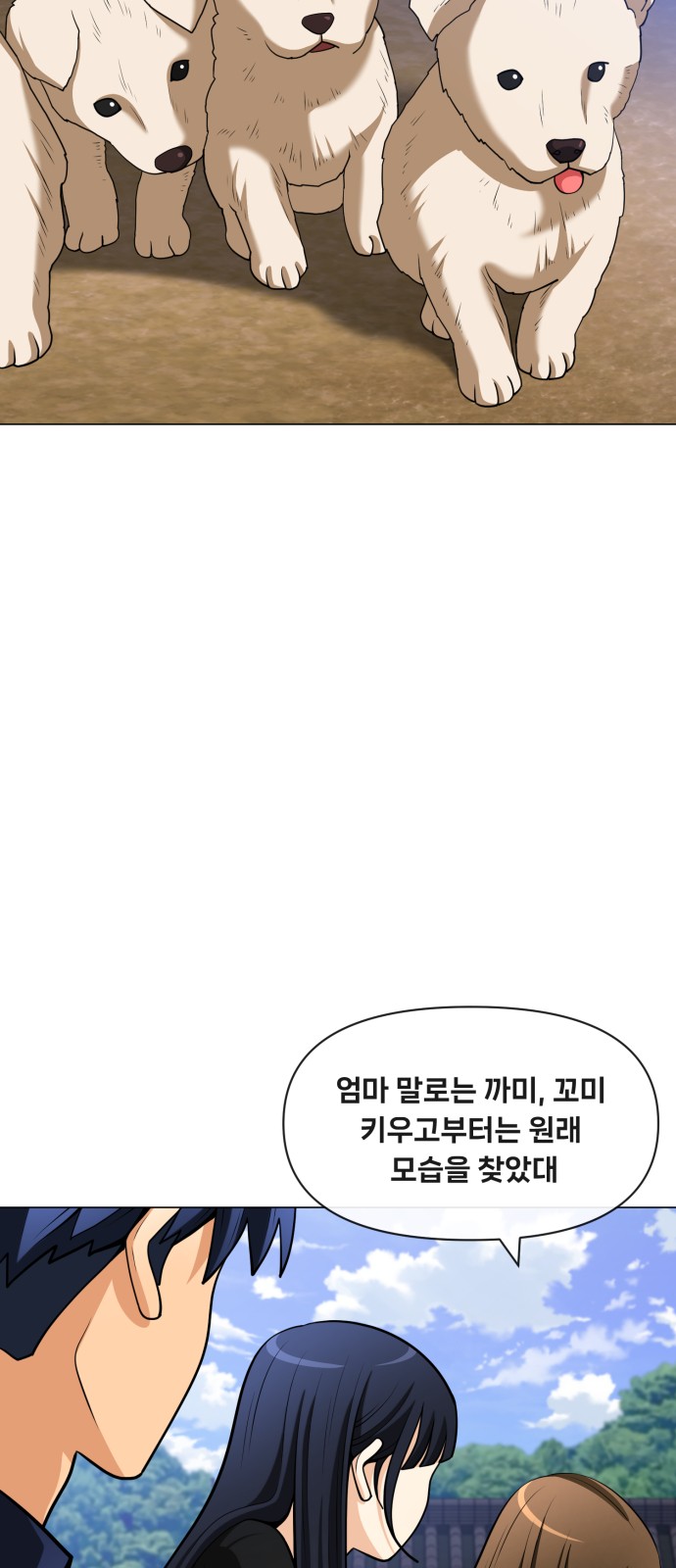 43 페이지
