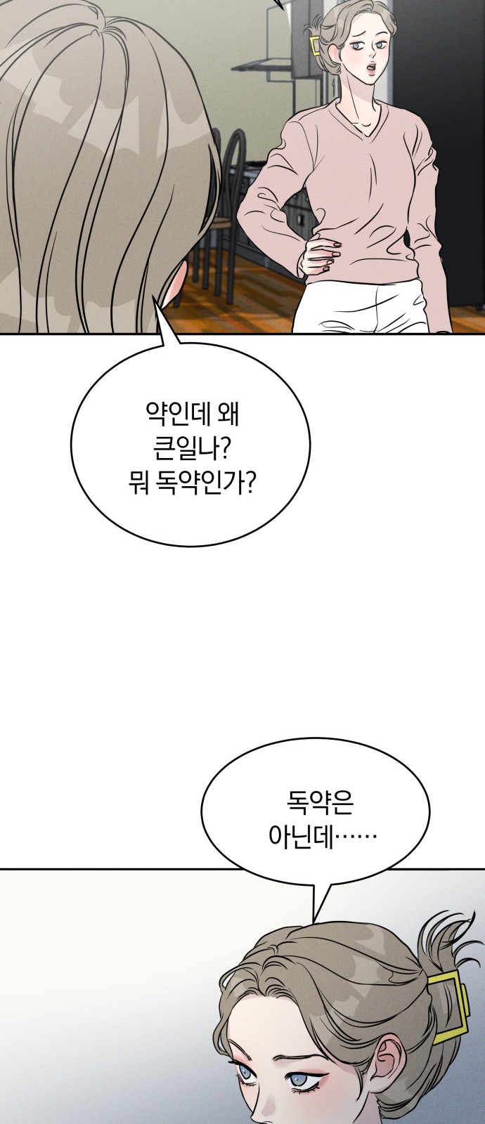110 페이지