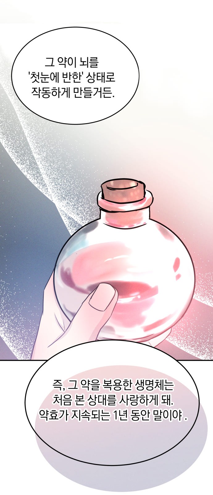 113 페이지