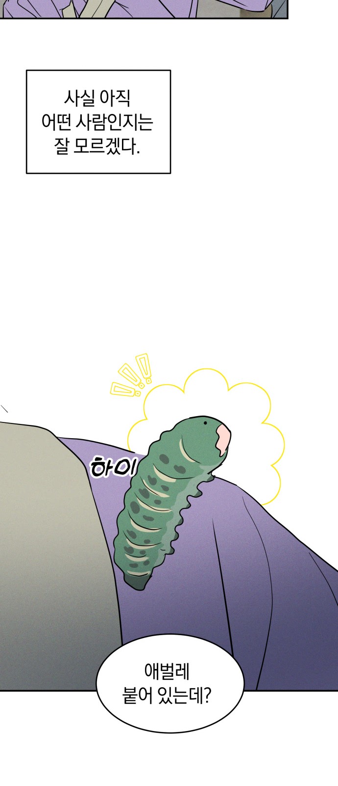 35 페이지