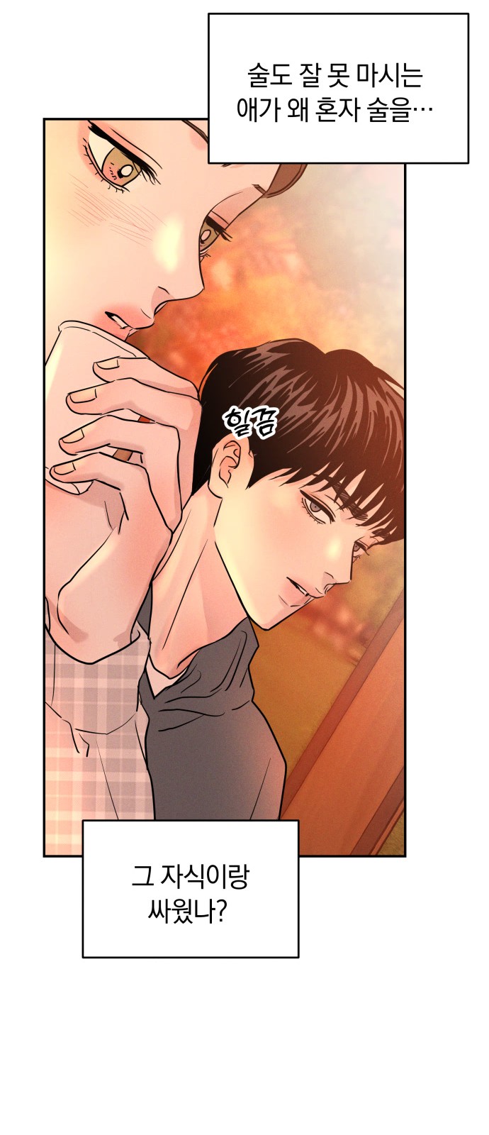 43 페이지