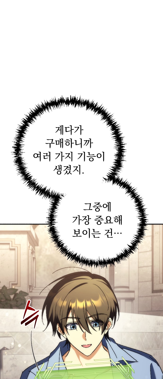 66 페이지