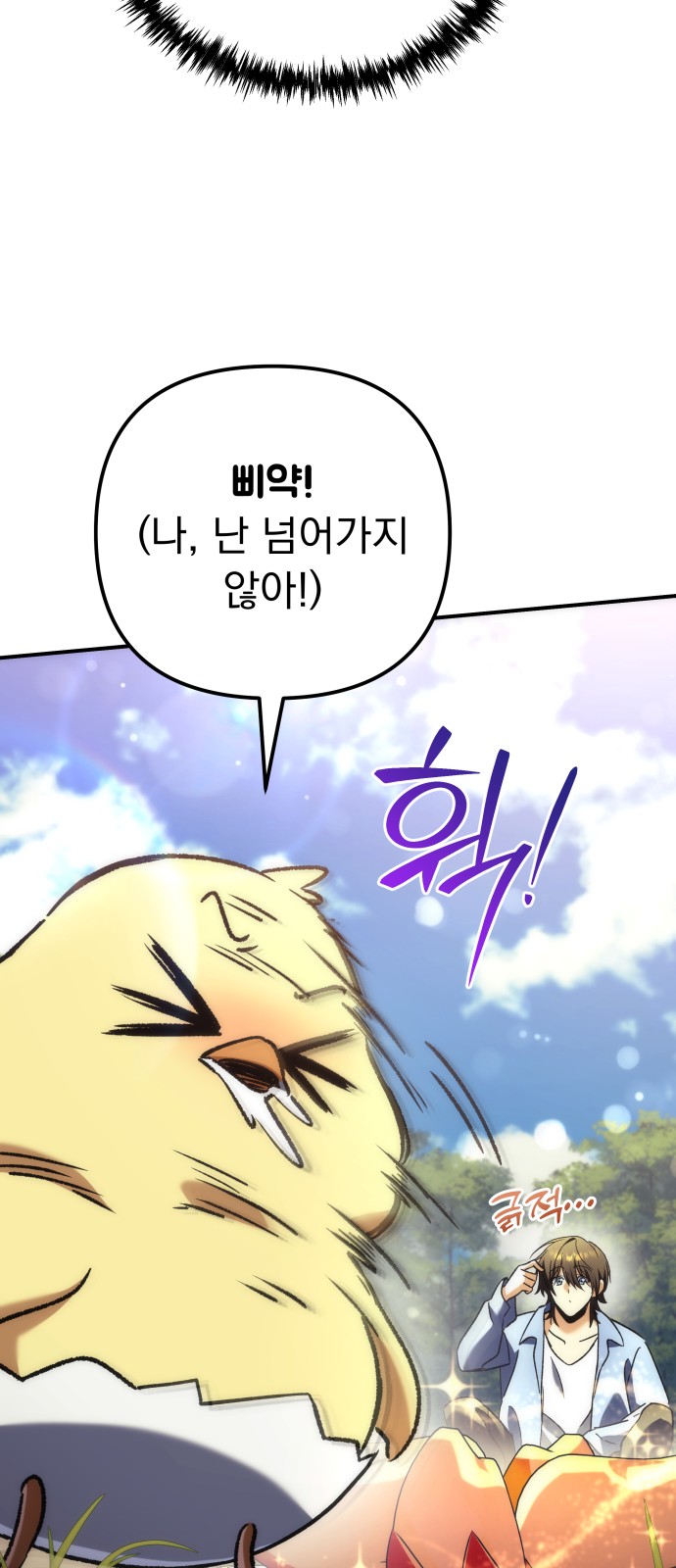 67 페이지