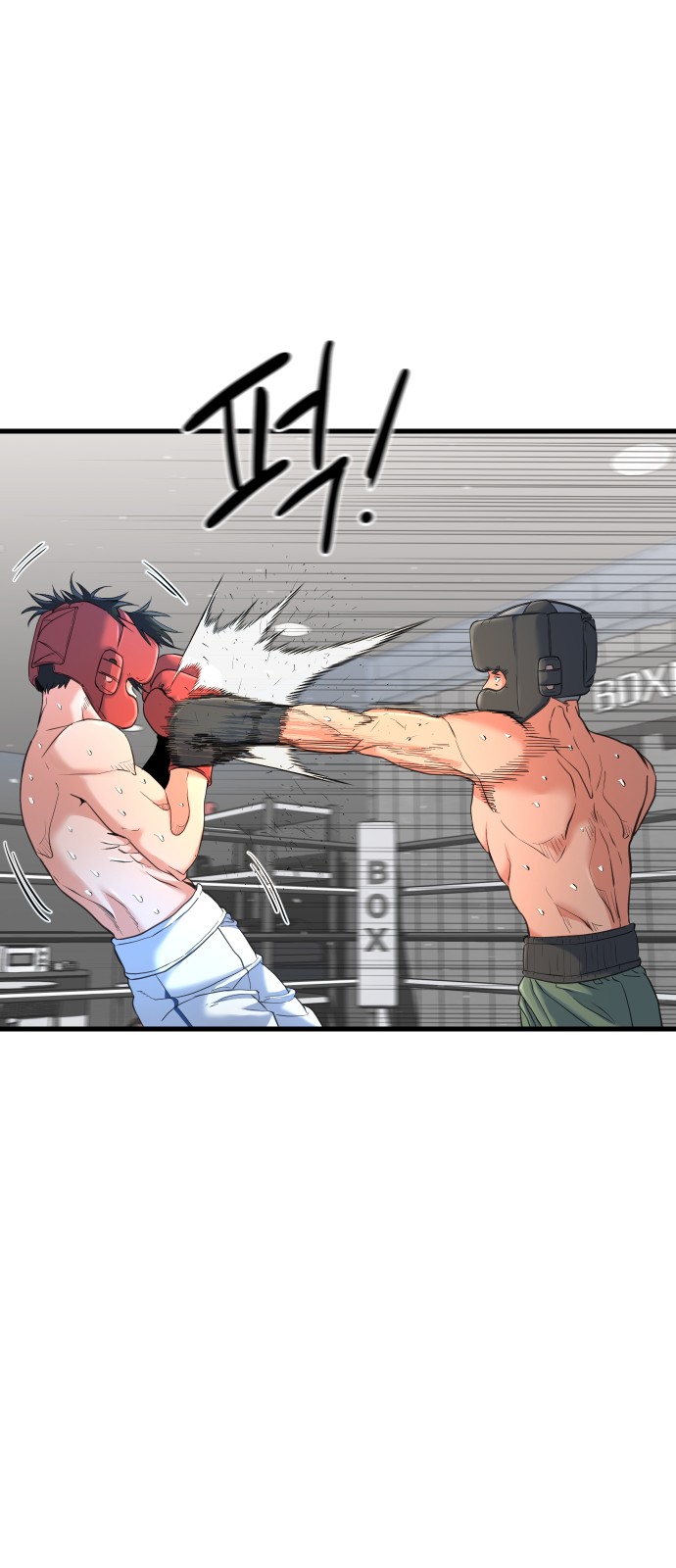 19 페이지