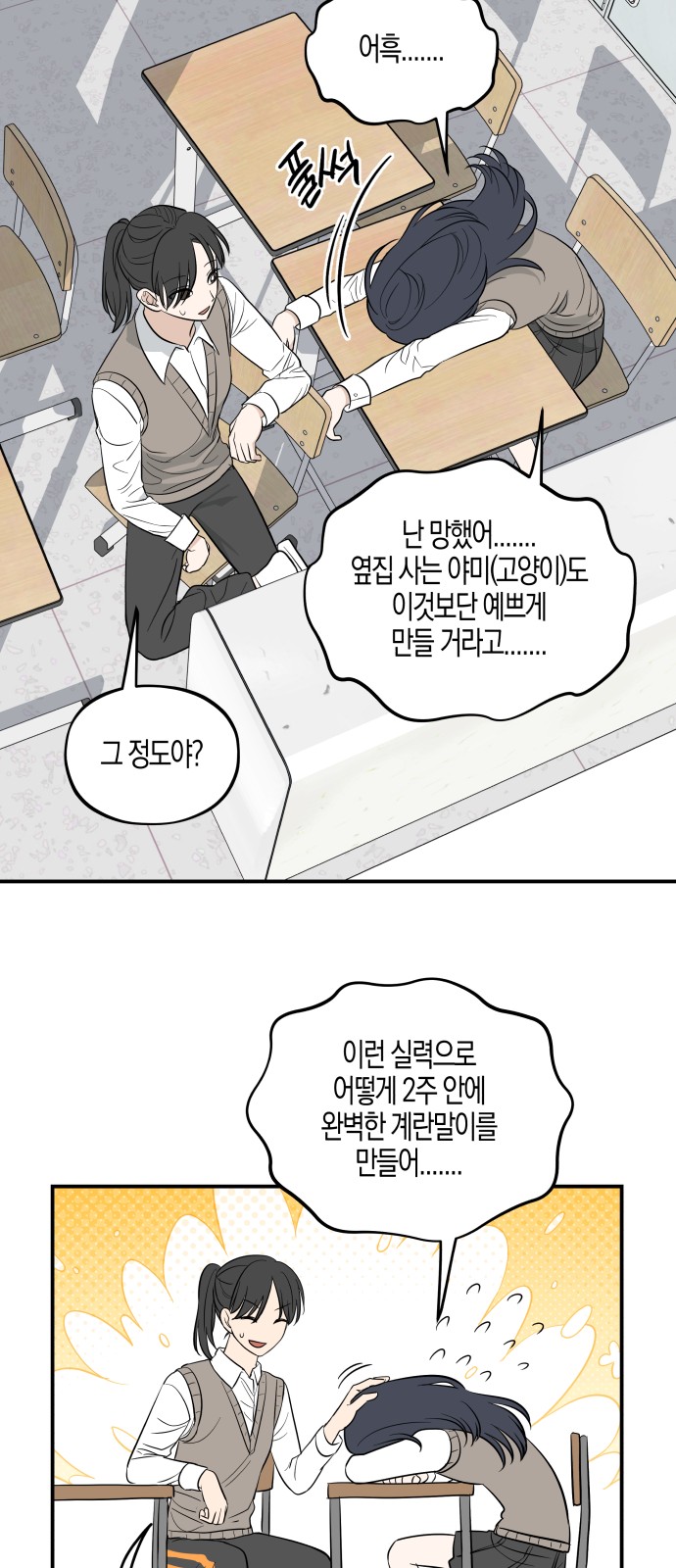 14 페이지
