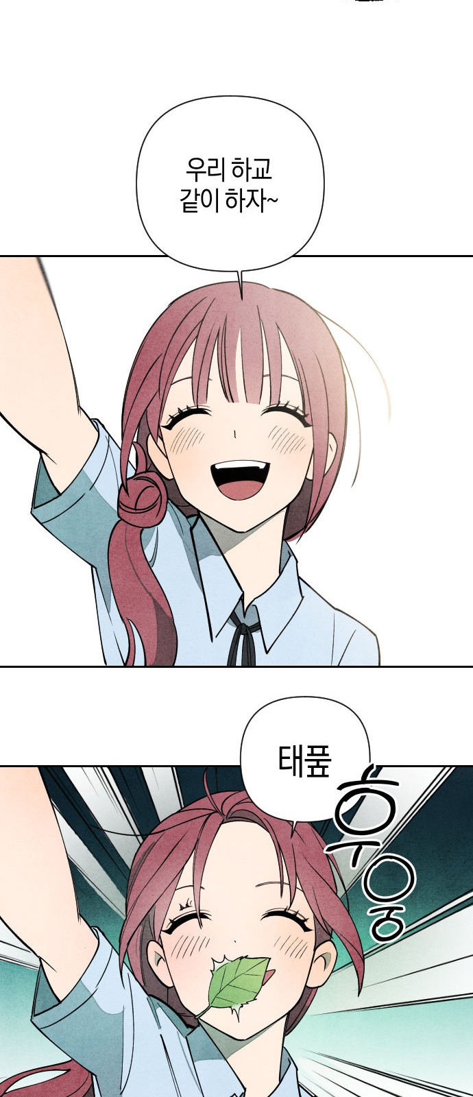 50 페이지
