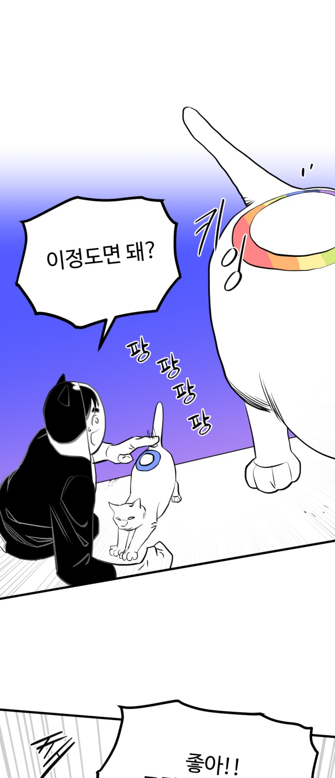 126 페이지