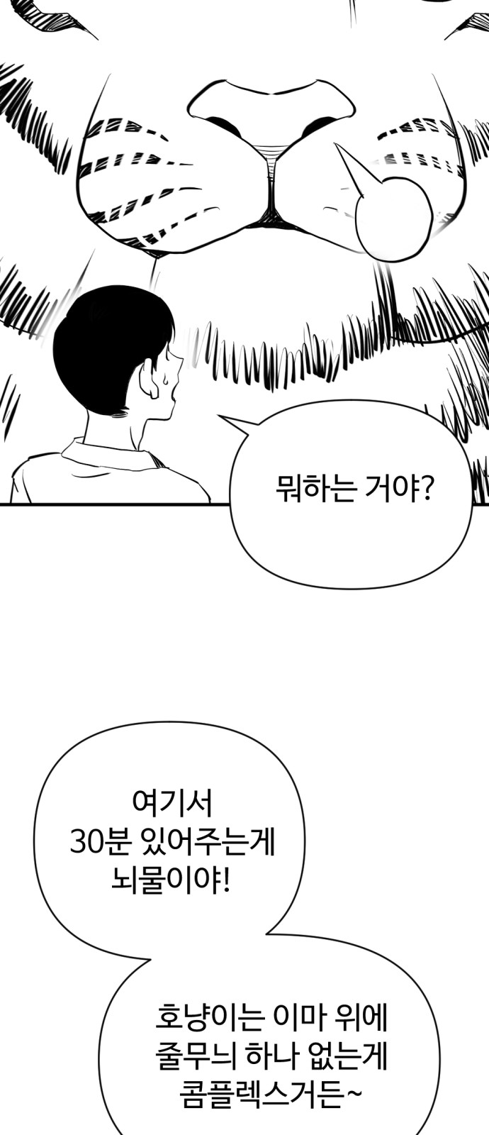 176 페이지