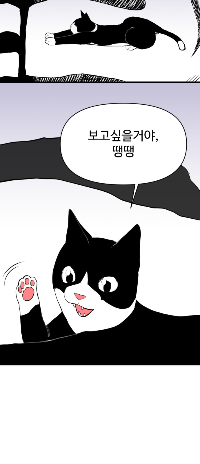 178 페이지