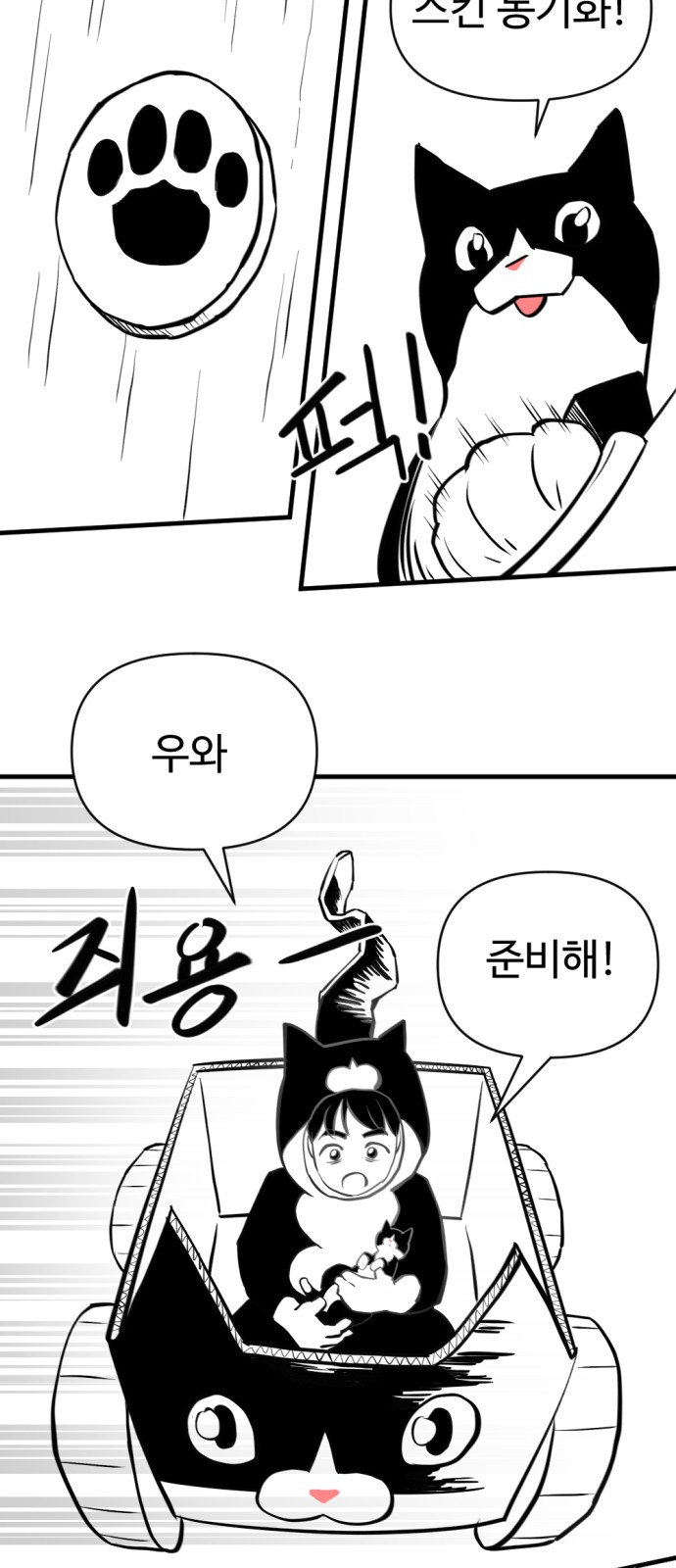 45 페이지