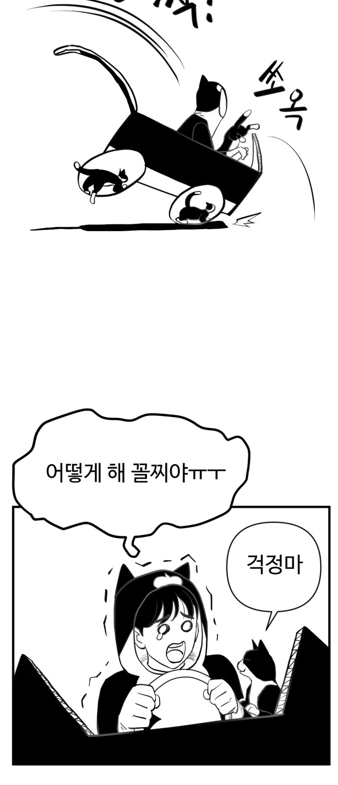 51 페이지