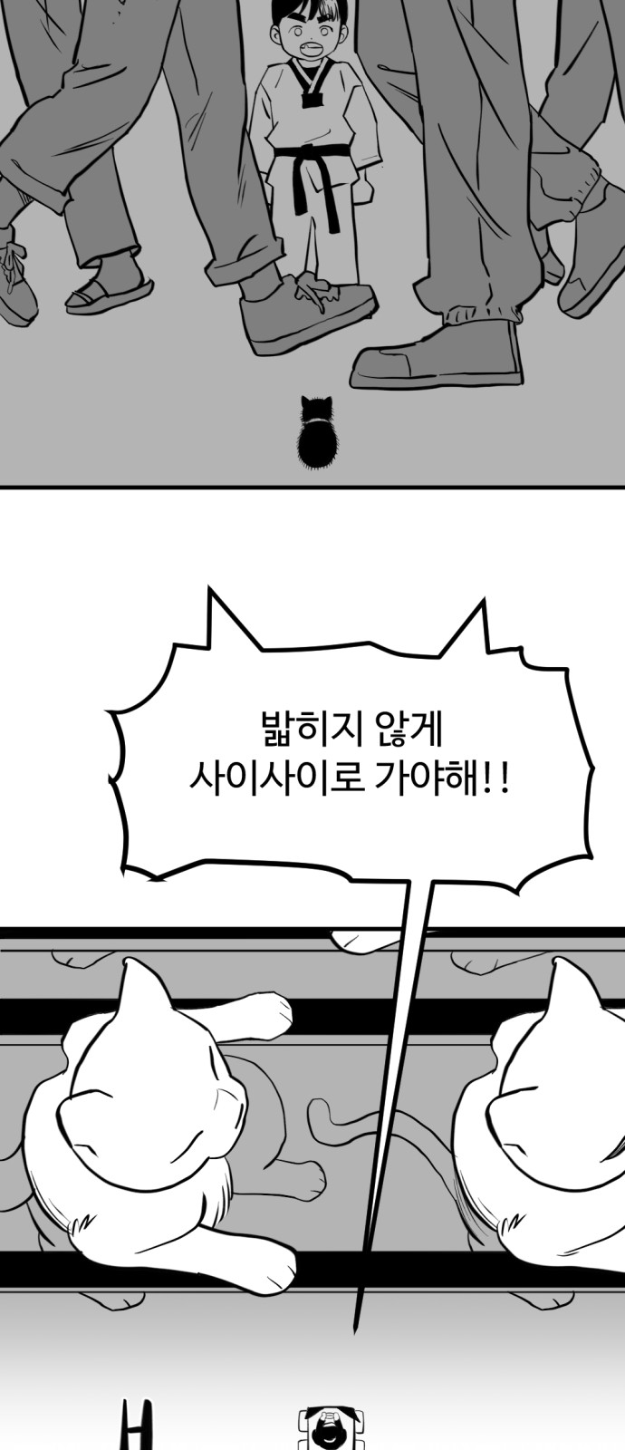 66 페이지