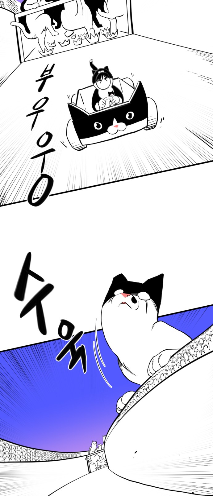 80 페이지