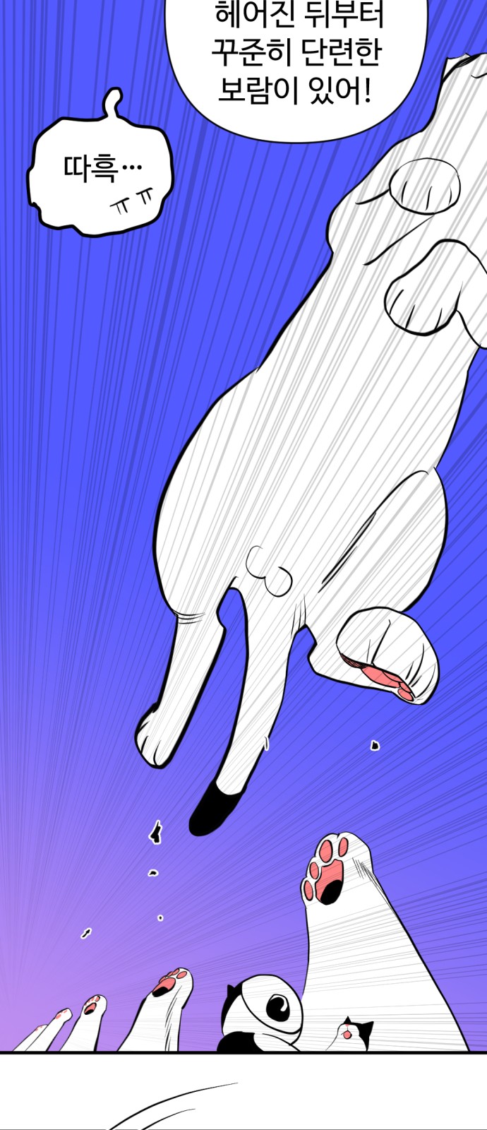 91 페이지