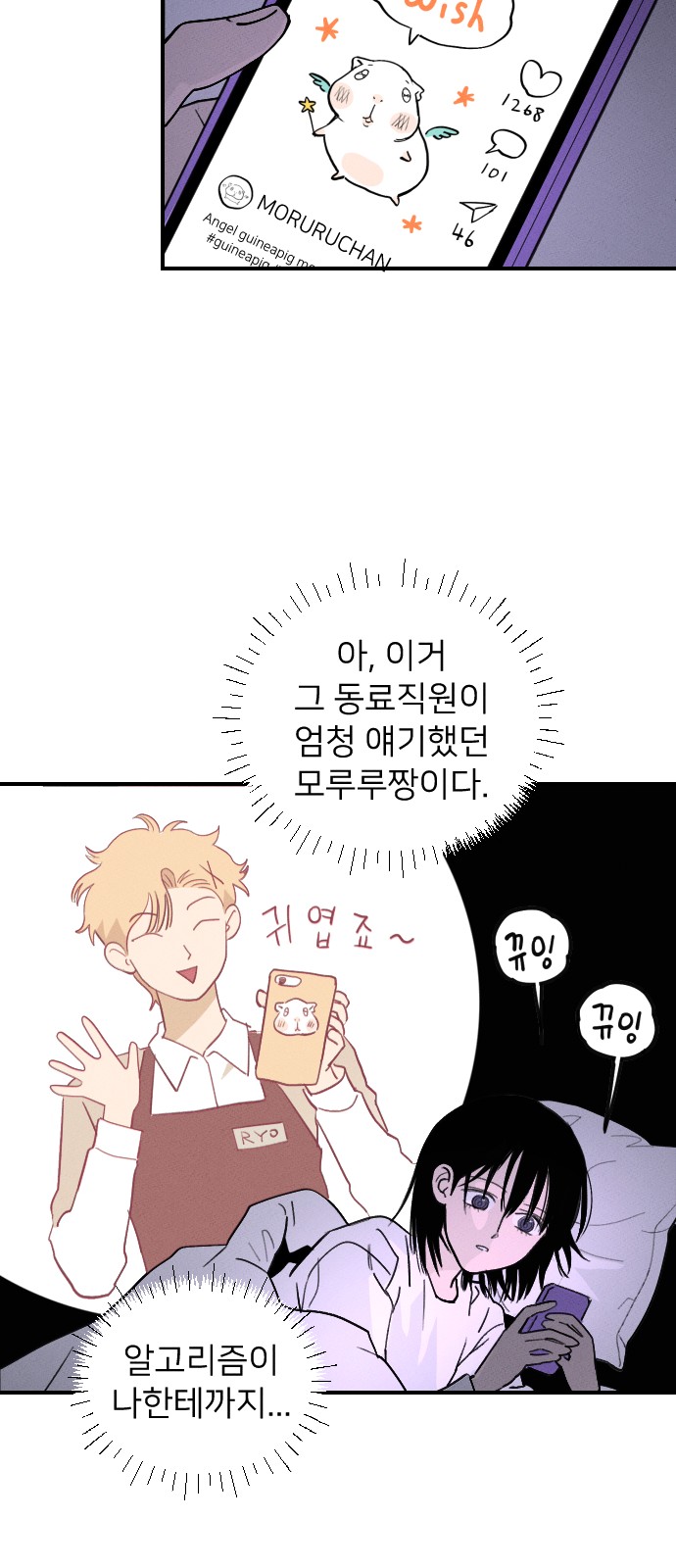33 페이지