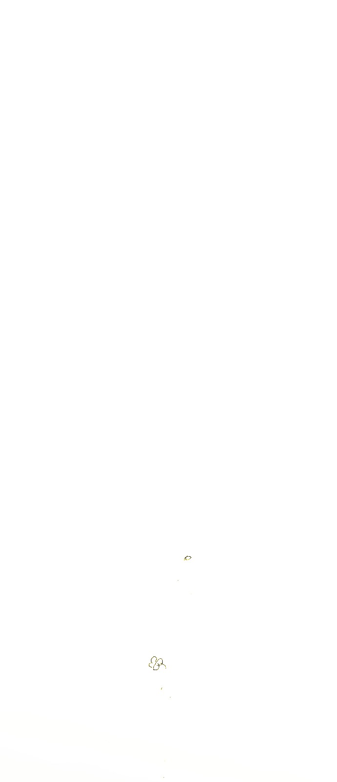 206 페이지