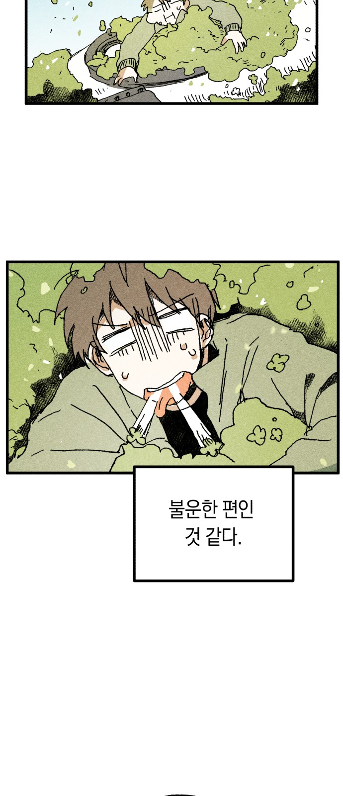 226 페이지