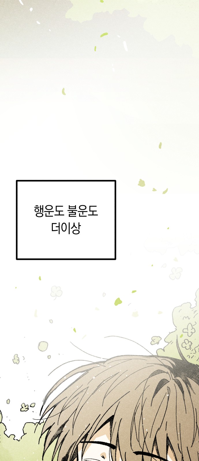 229 페이지