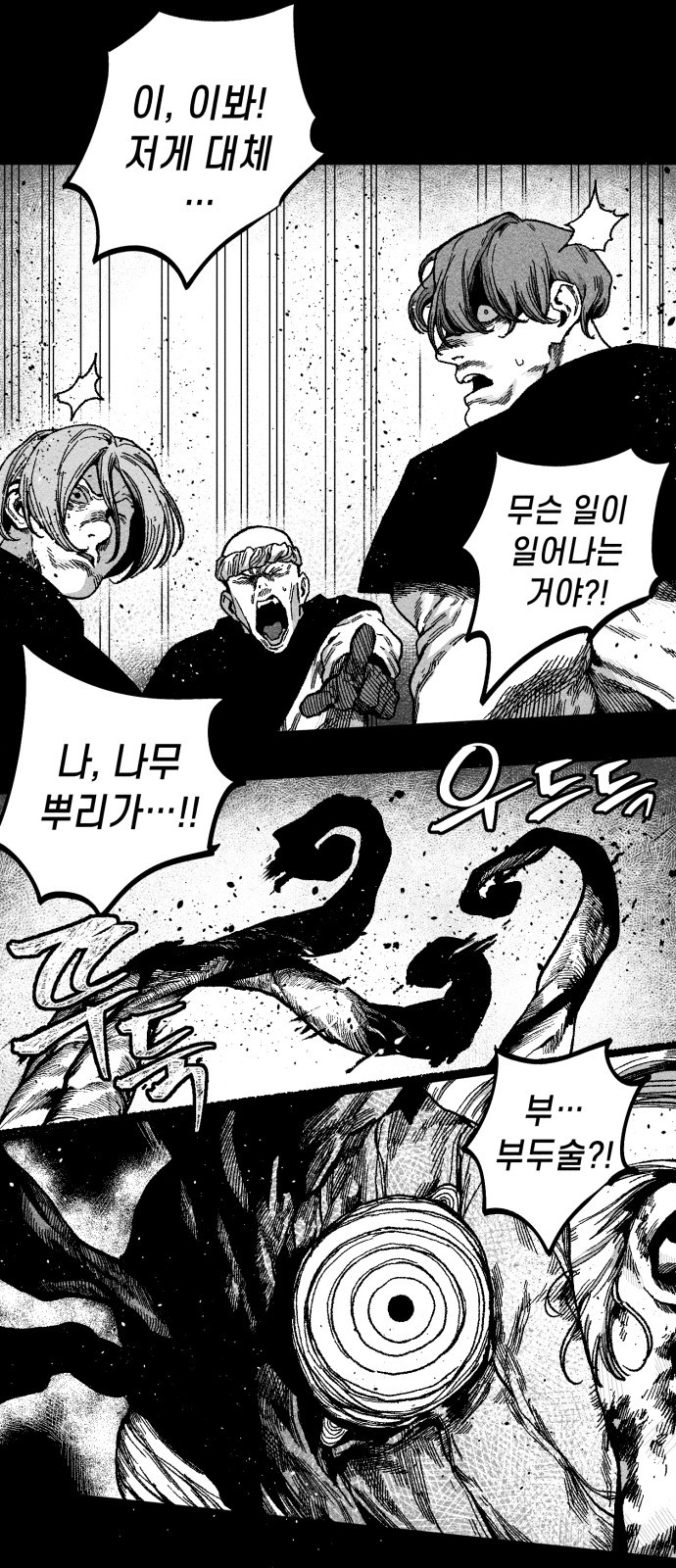 146 페이지