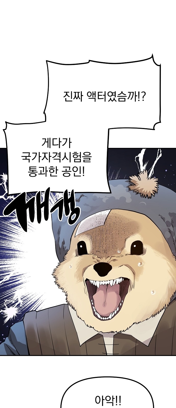 161 페이지