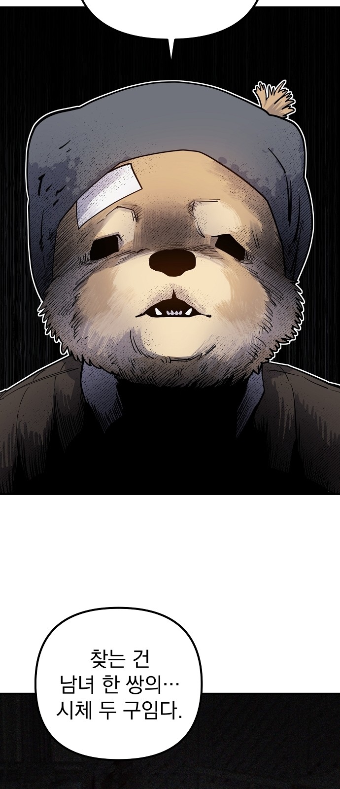 35 페이지