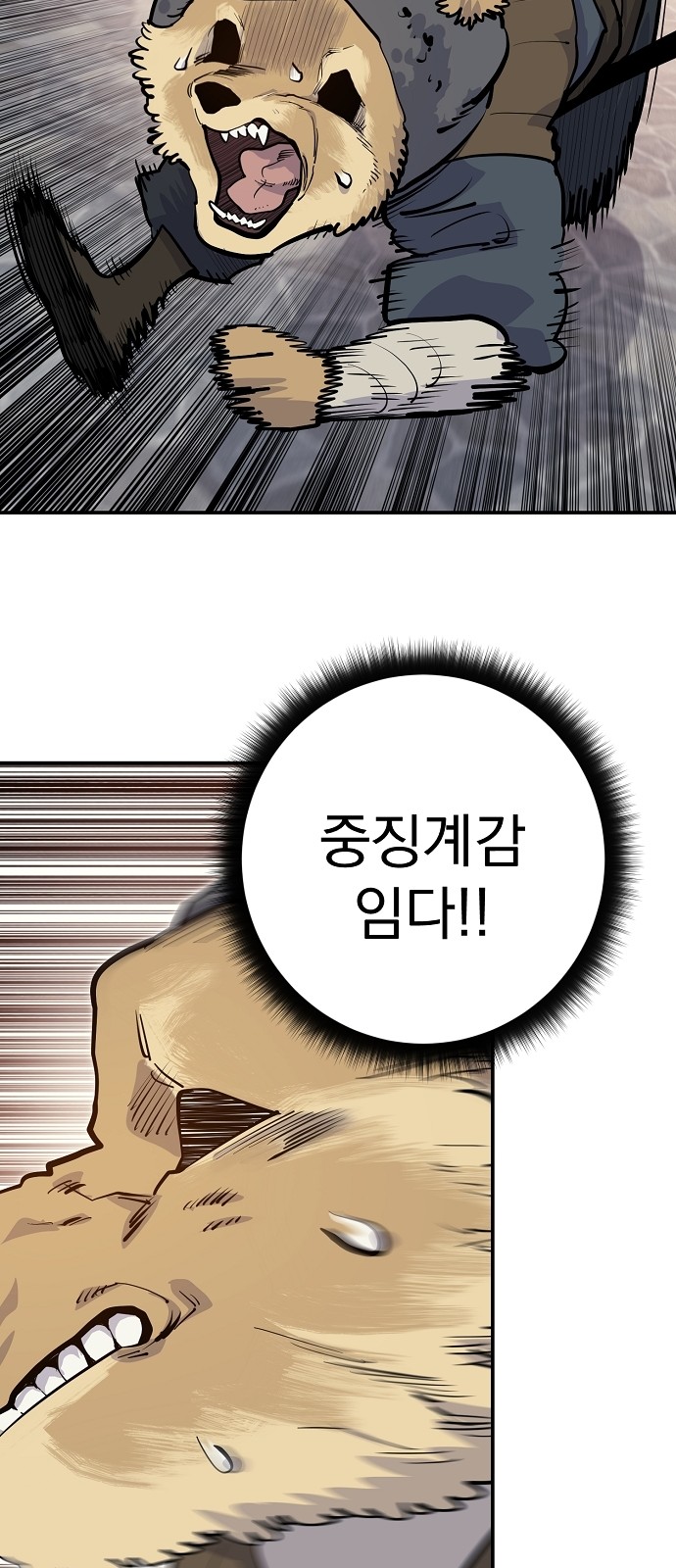 61 페이지