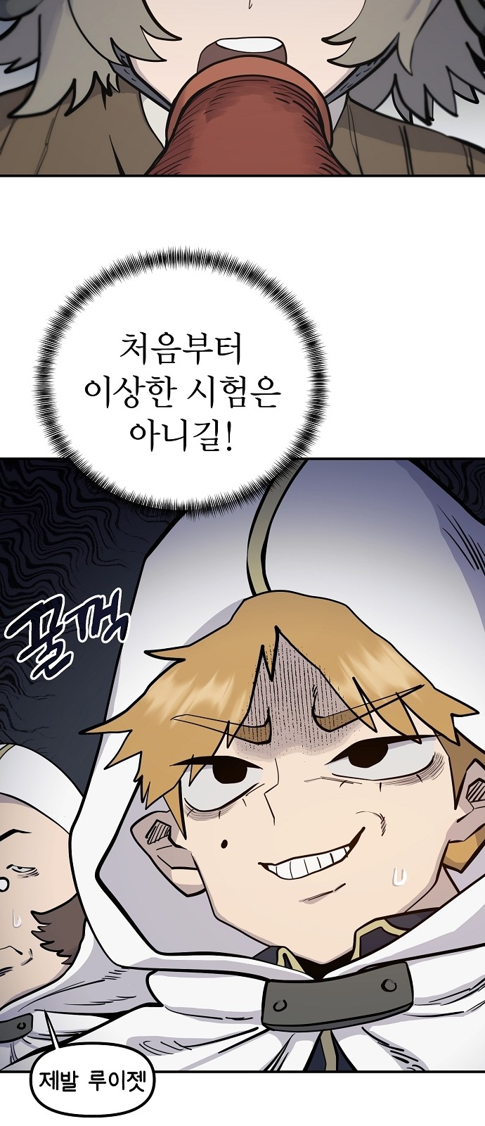 30 페이지
