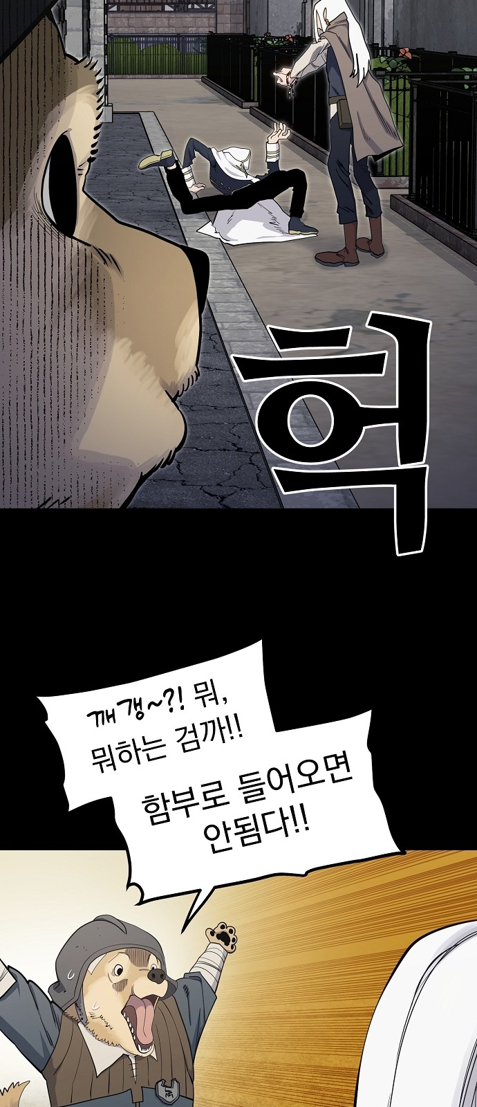 17 페이지