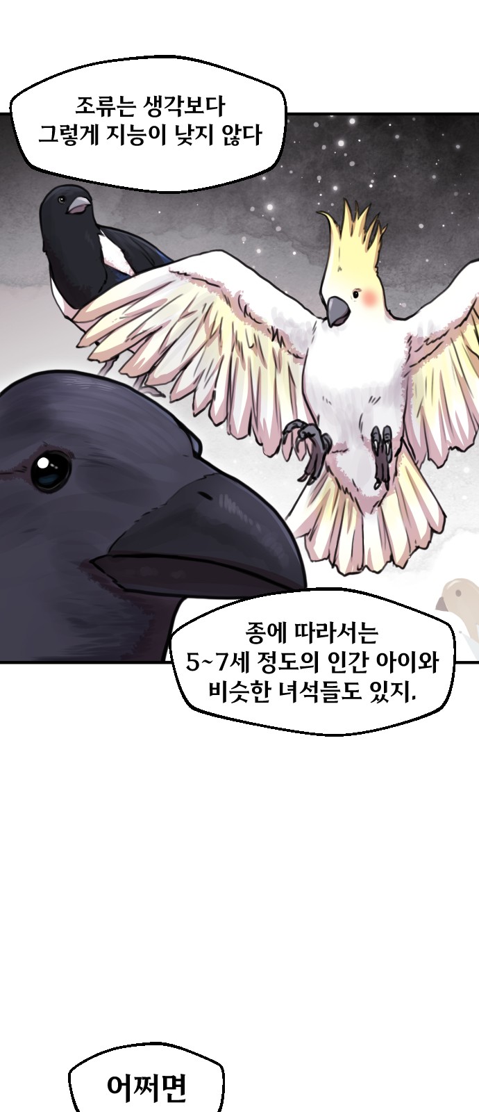 30 페이지