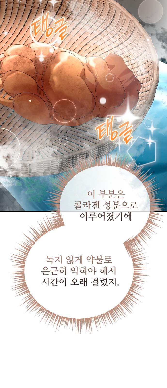 48 페이지