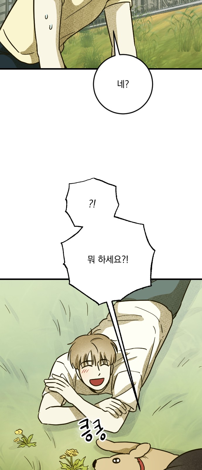 48 페이지