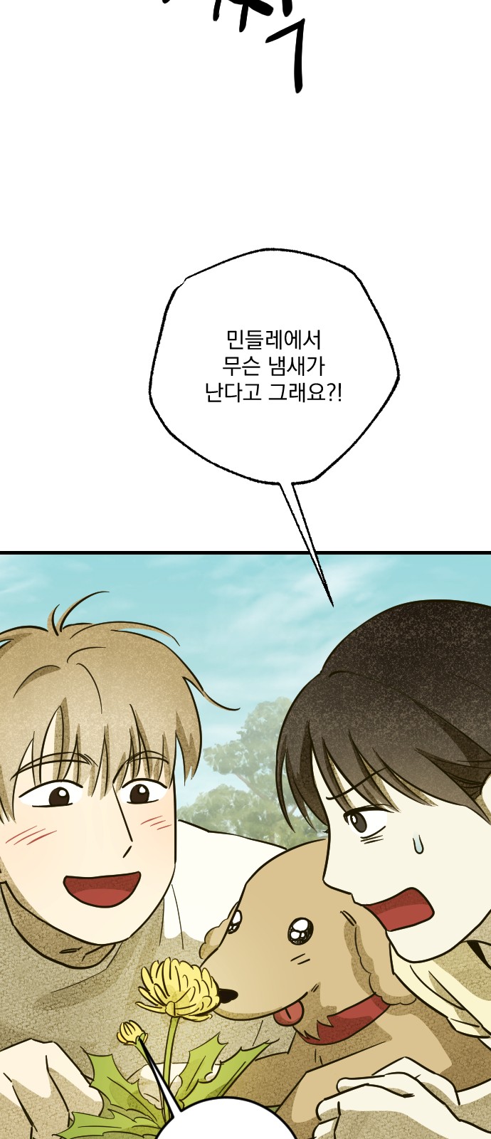51 페이지
