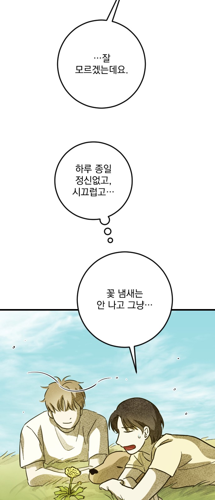 53 페이지
