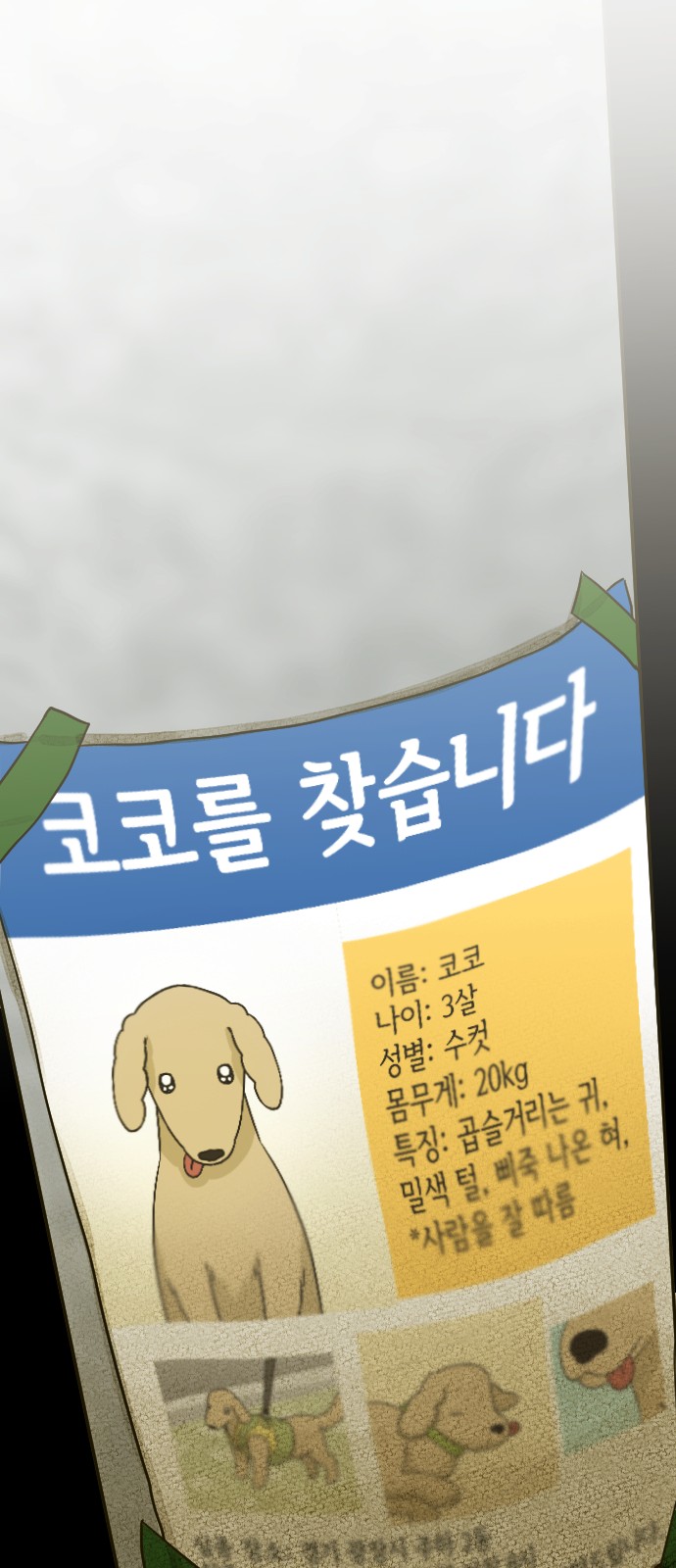 74 페이지