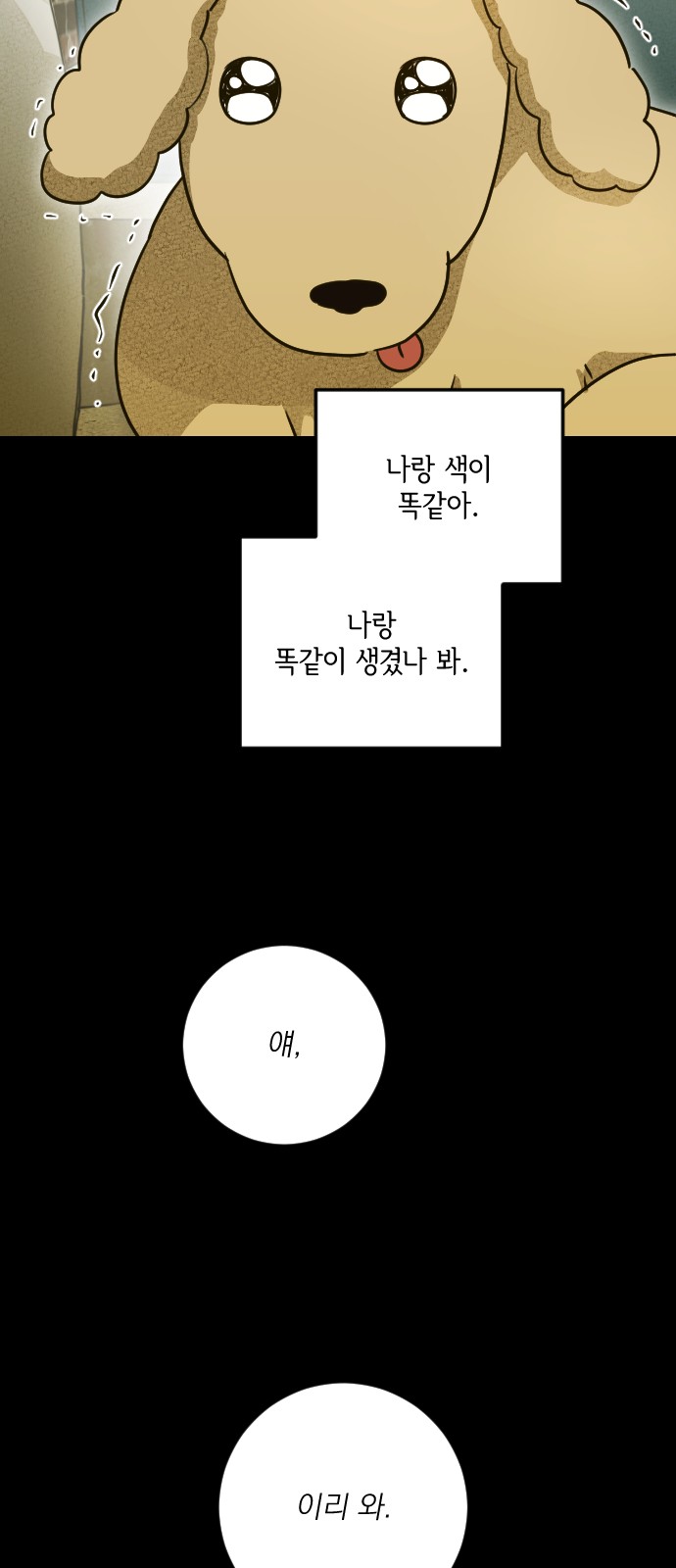 79 페이지