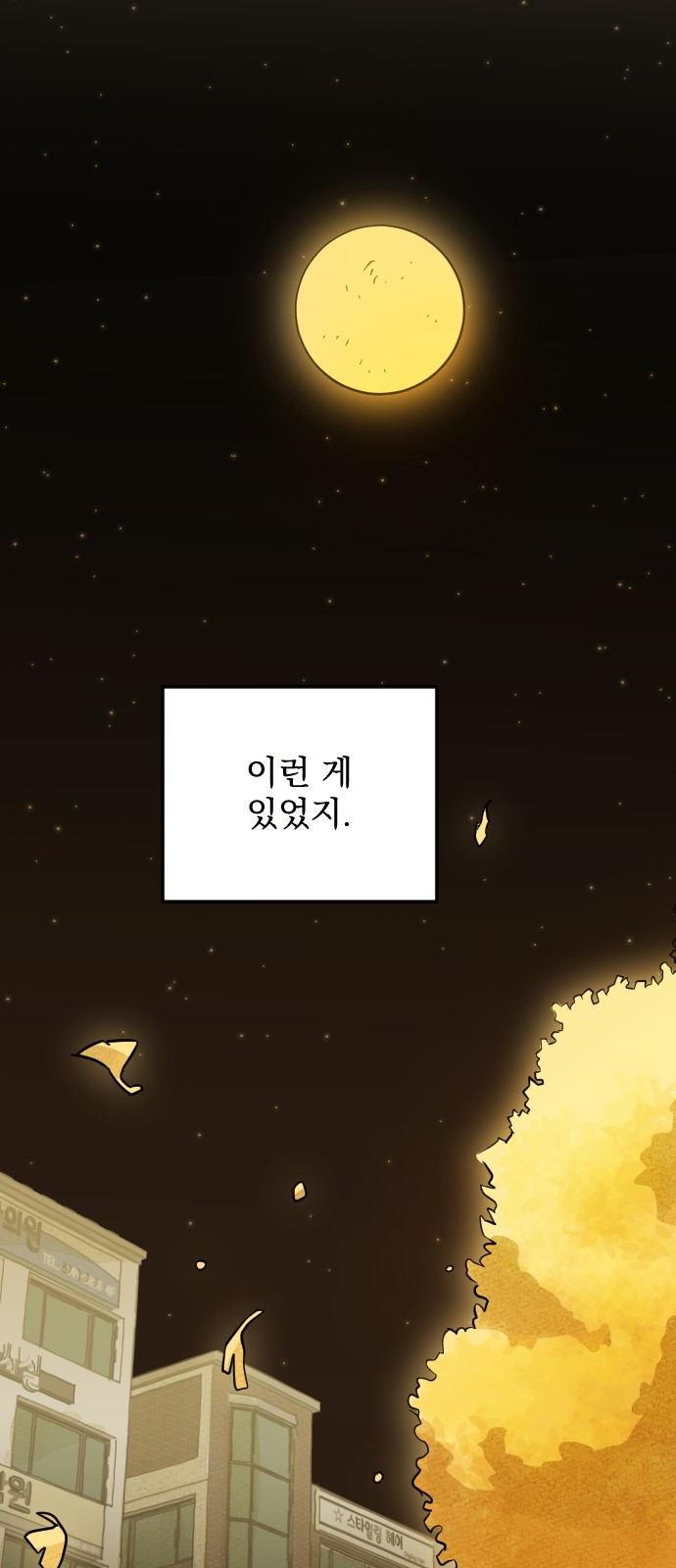 111 페이지
