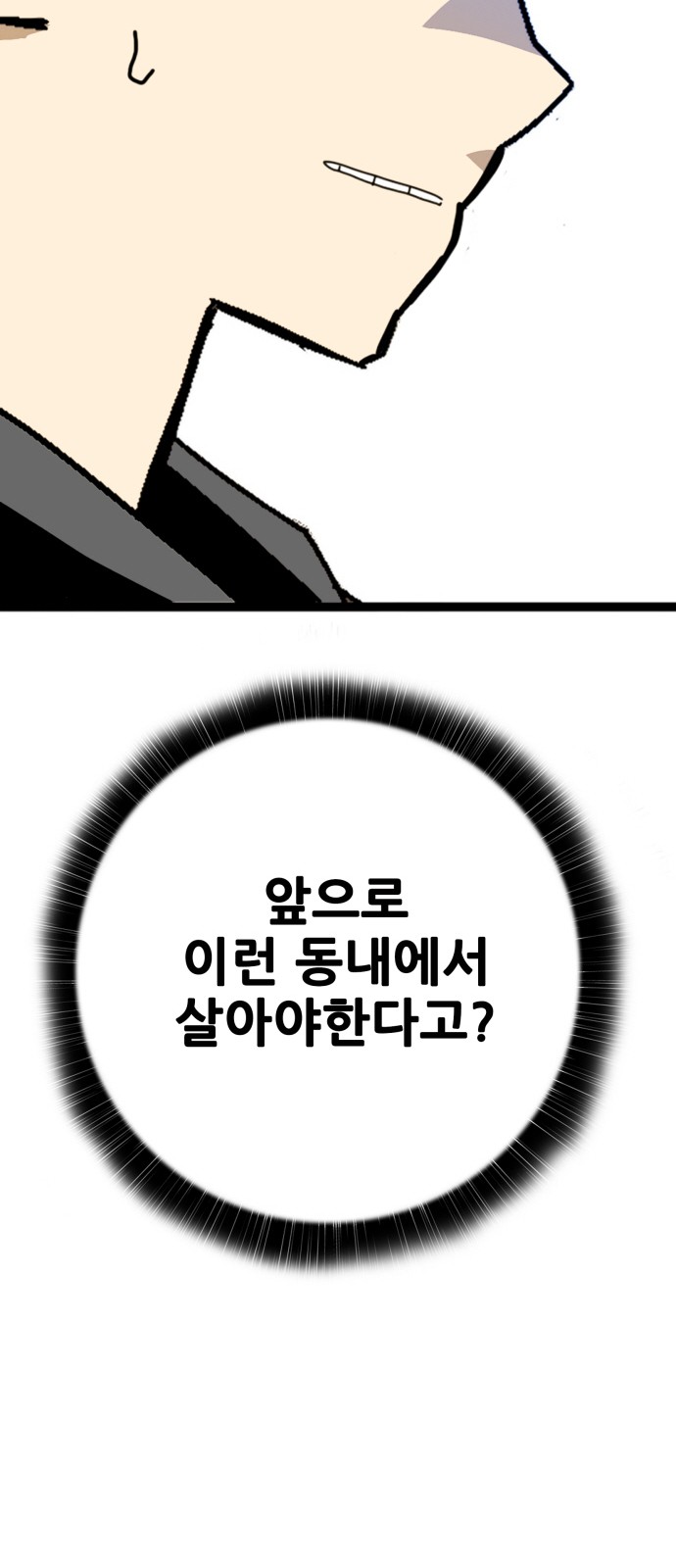 110 페이지