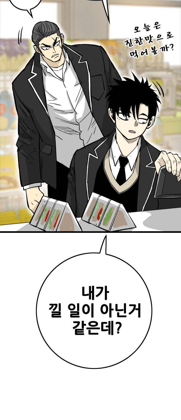 113 페이지