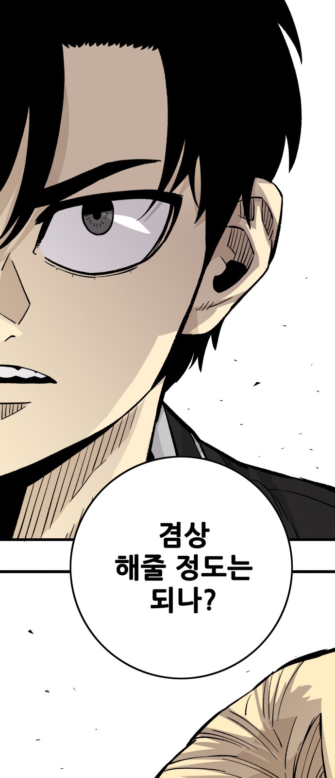 80 페이지